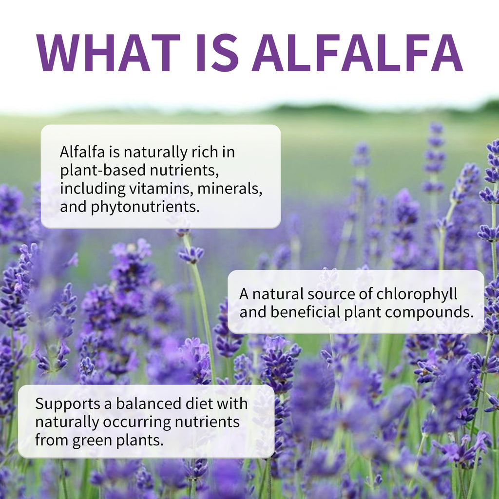 Total Natural Alfalfa 500mg - A Digestive Tonic with Traditional Benefits